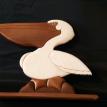 Pelican