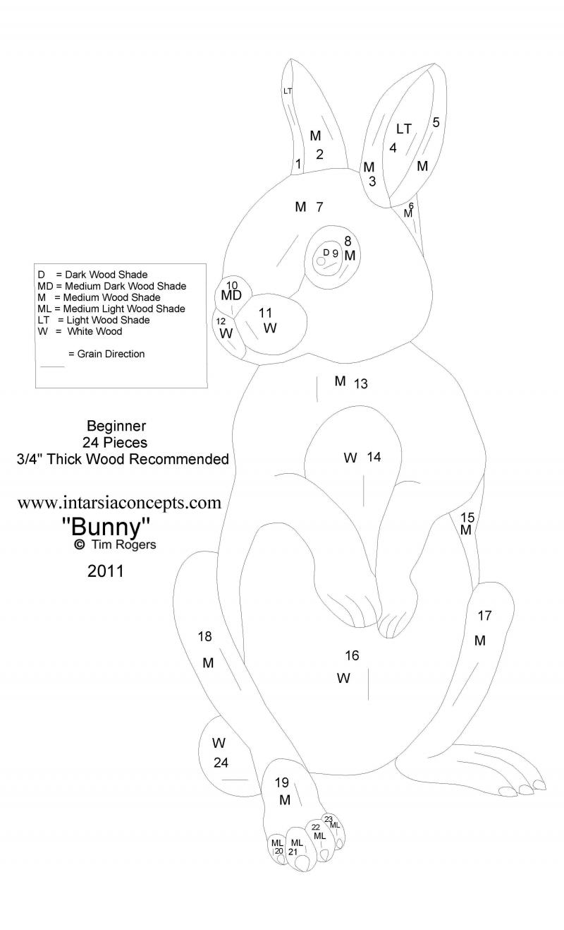 Bunny 2011