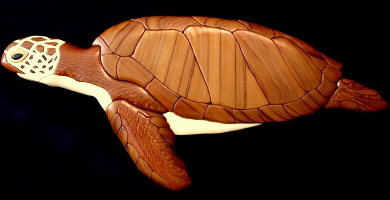 Sea Turtle