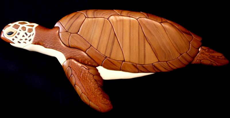 Green Sea Turtle