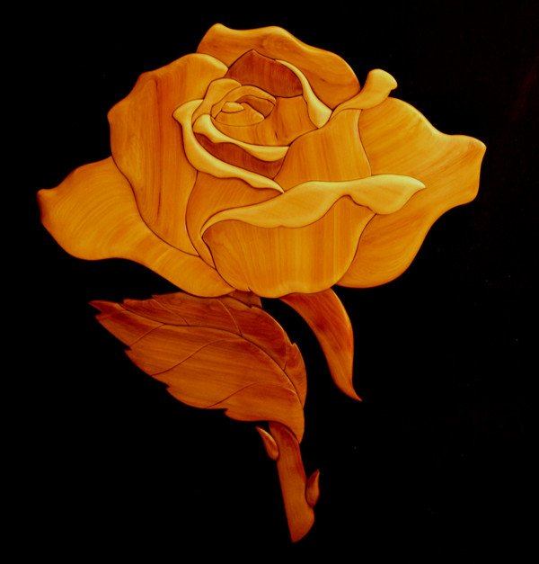 Rose