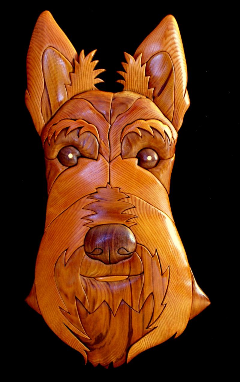Scottie